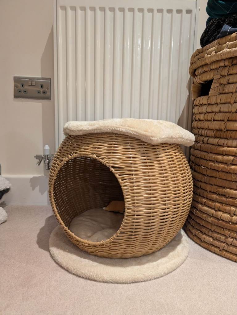 *FREE* Cat basket 