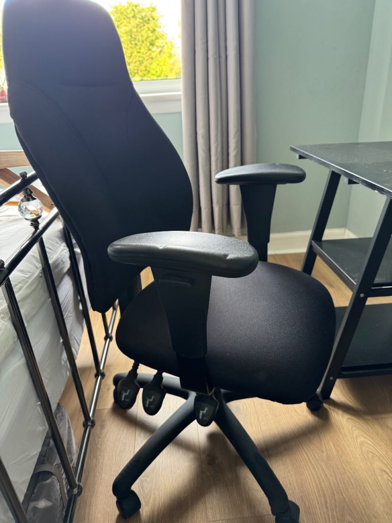 Black Esme Ergonomic Office Chair