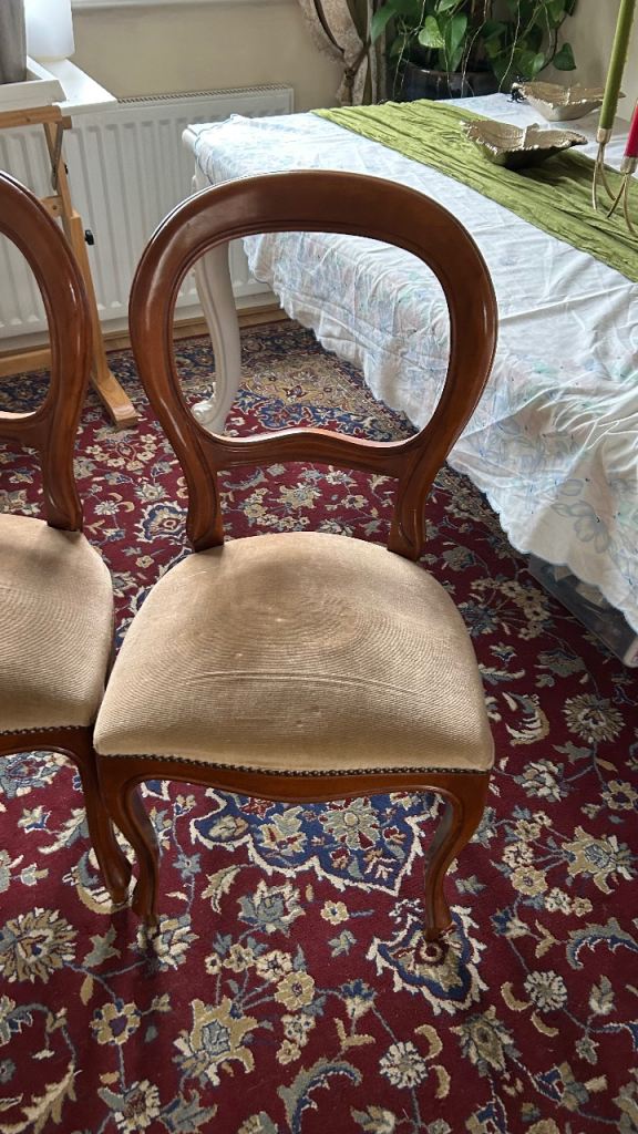 Two sturdy balloon backed chairs