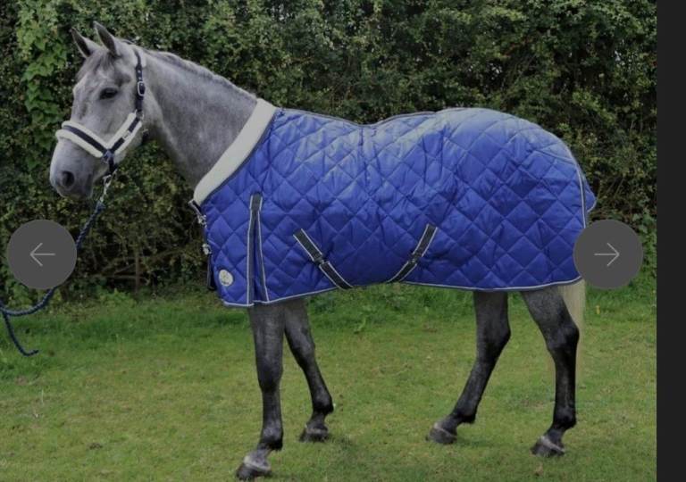 Ruggles 400g Heavyweight Standard Neck Stable Rug with Fleece Collar - 6'