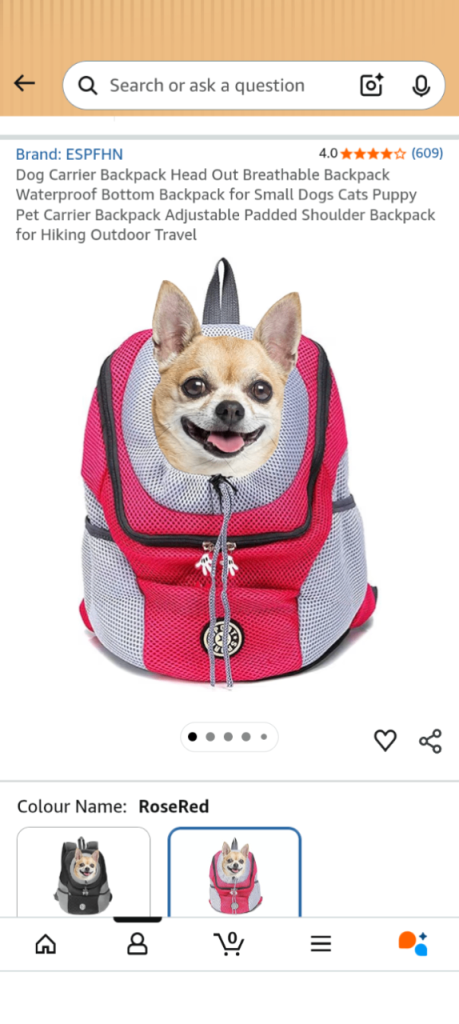 Small dog backpack 