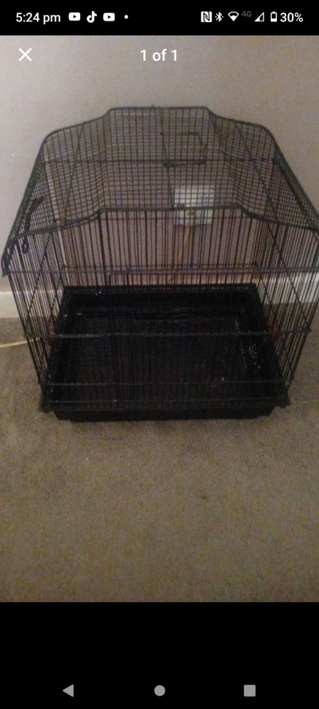 Bird cage 