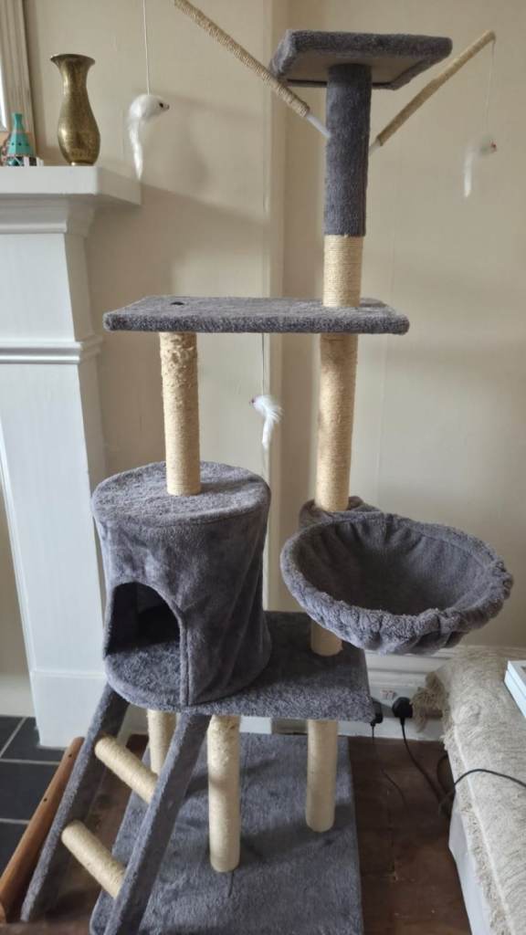 Cat tree and cat litter box 