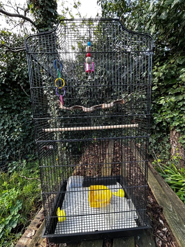 Bird Cage