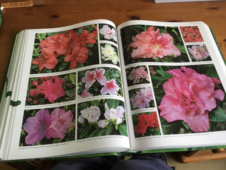Flora The Gardener's Bible Book & CD-ROM