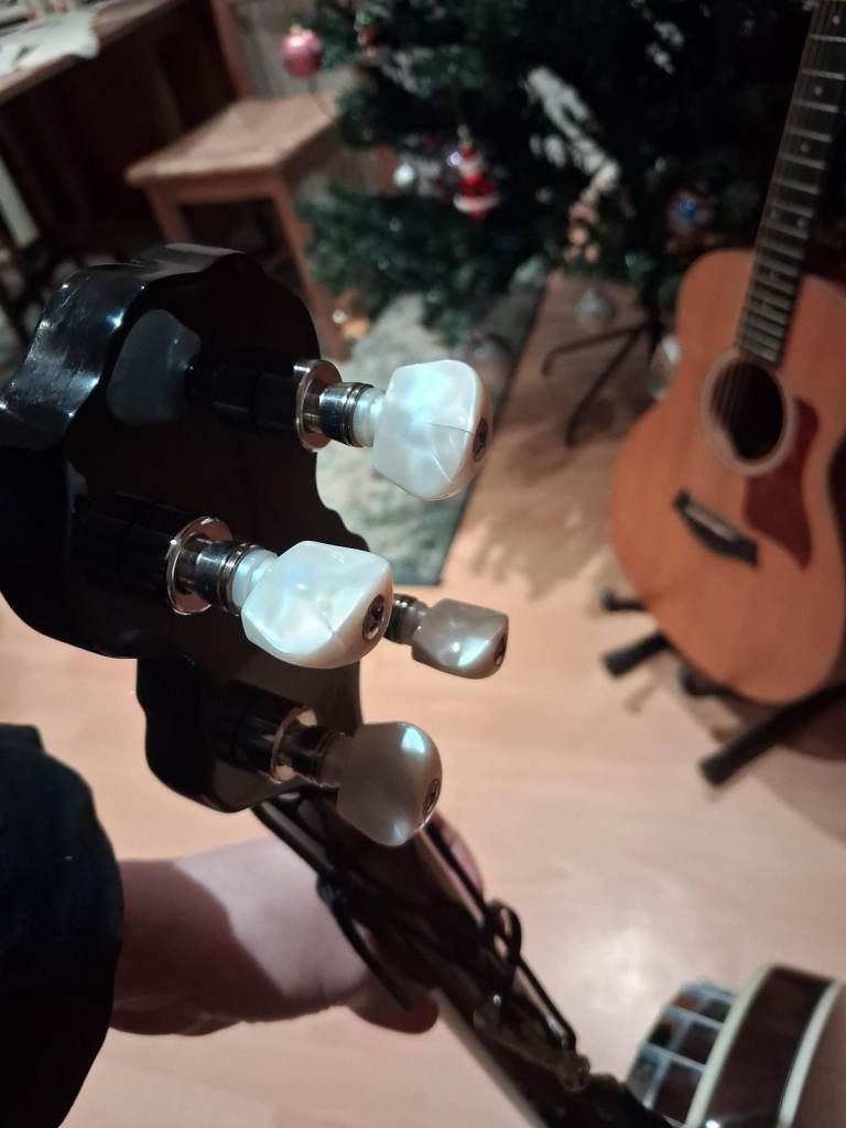 Ashbury AB-45 Tenor Banjo in great condition (bag and strap included)