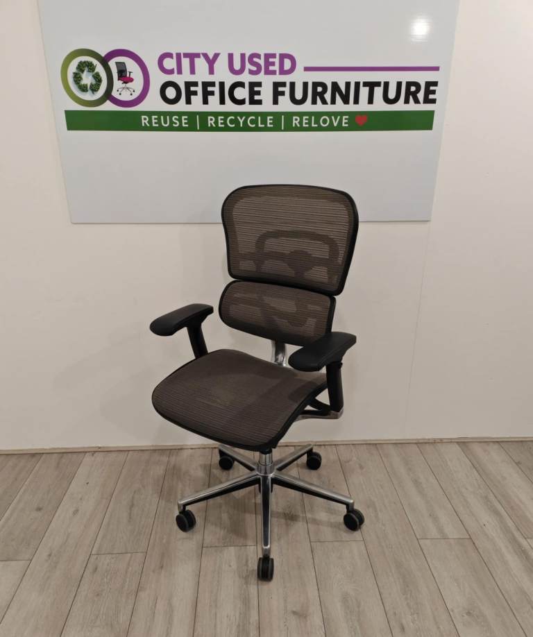 Ergohuman Executive Office Chair – Comfortable, Adjustable, and Built for Productivity!