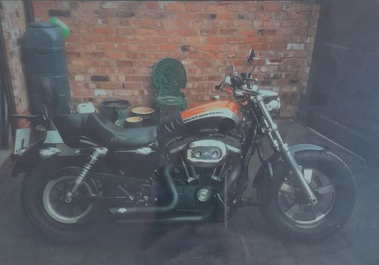 Harley-Davidson, SPORTSTER CUSTOM A, 2014, 1202 (cc)