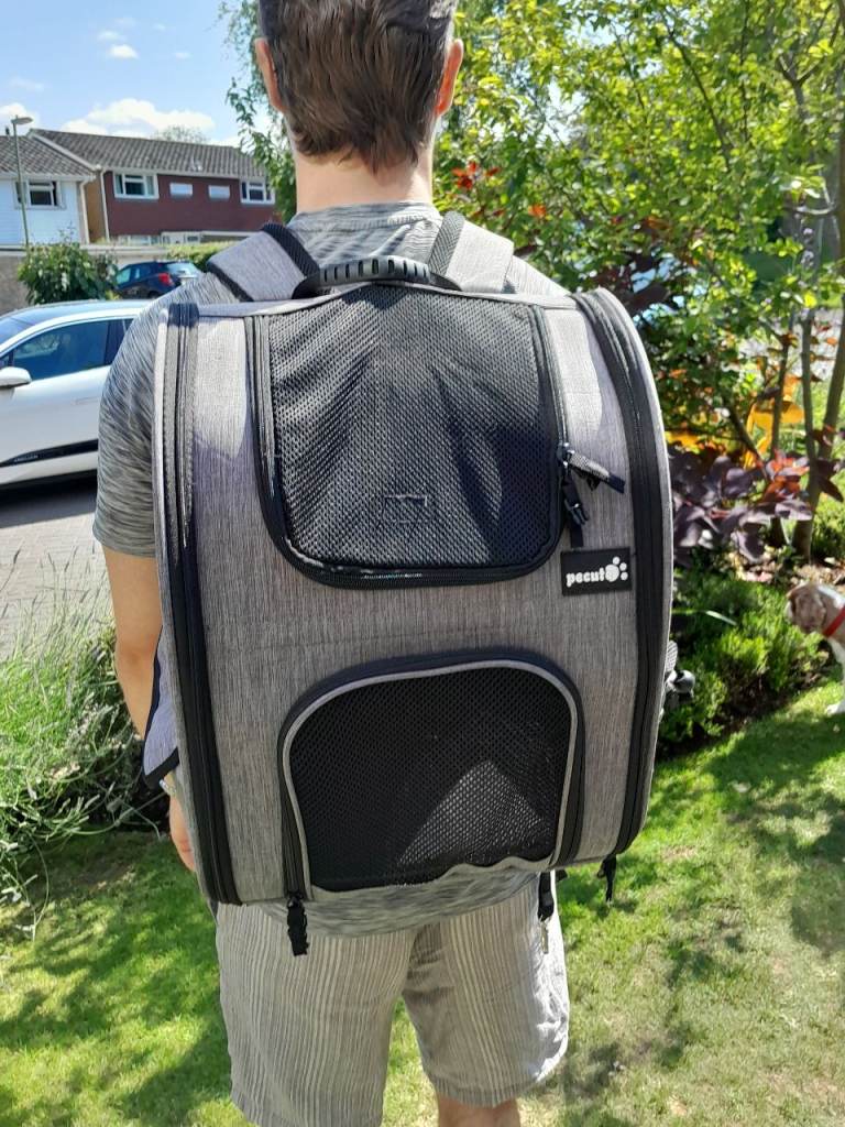 Small dog/cat rucksack