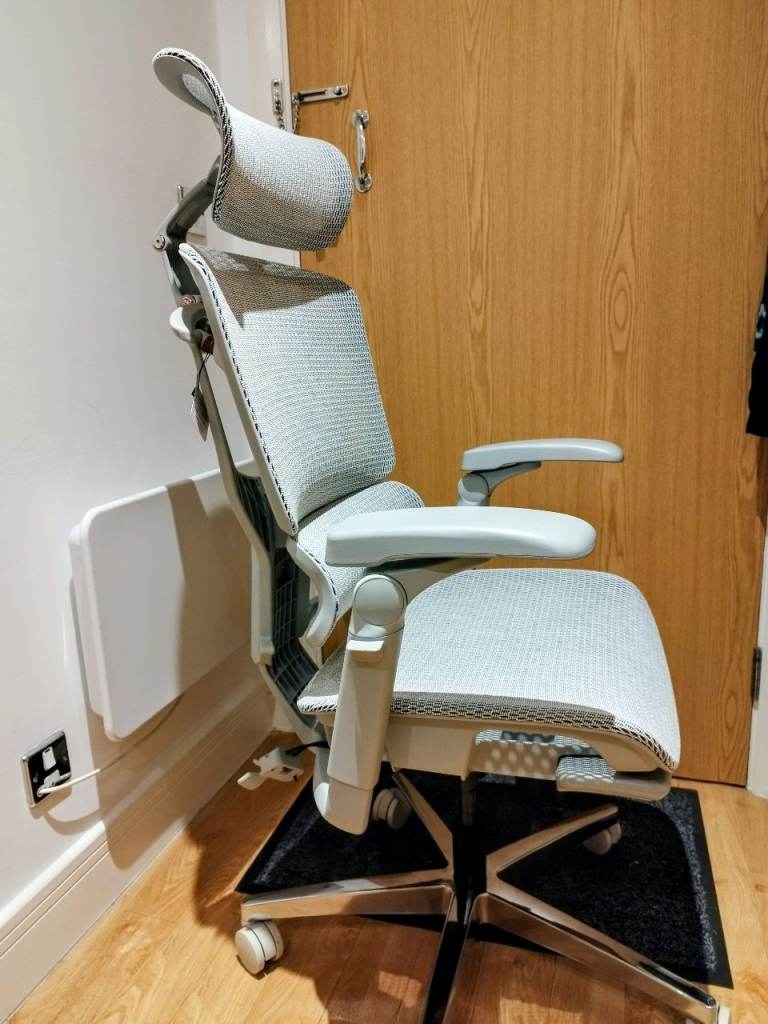 Flexispot ErgoX Pro ergonomic chair