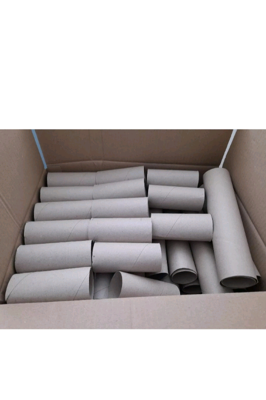Empty Cardboard Toilet Roll Tubes School Craft Gardening Seeds Plants