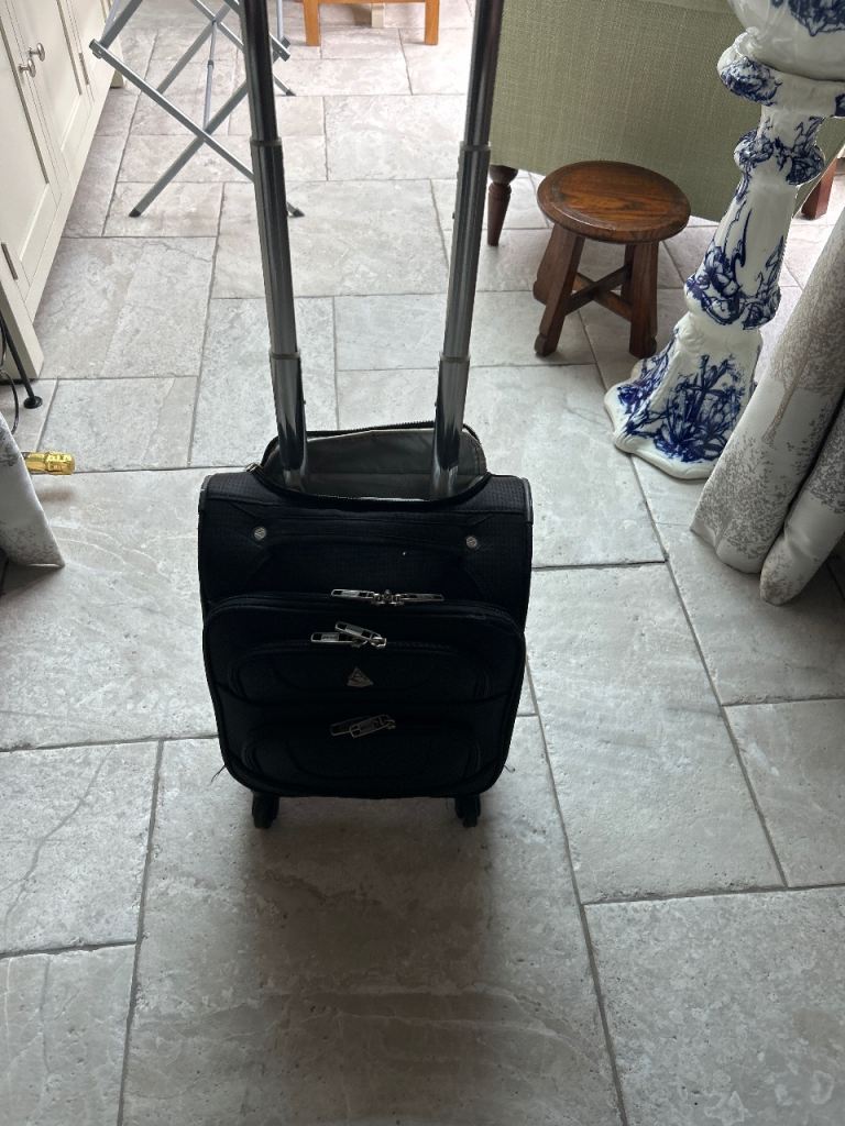 Cabin size small light case