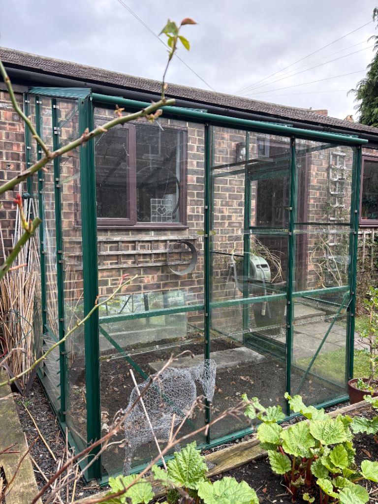 Elite Greenhouses 6’ x 6’ lean to greenhouse