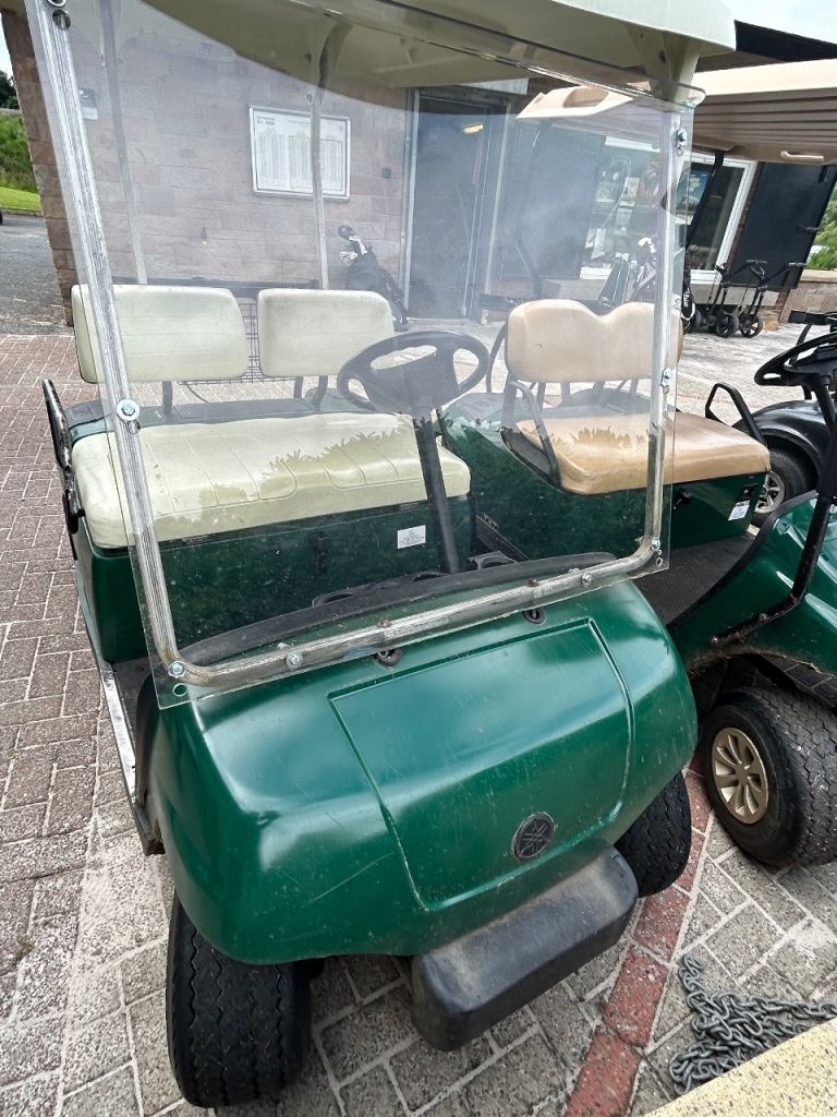 Golf Buggy 