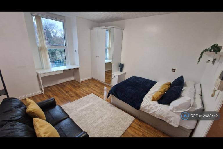 Studio flat in Birch Polygon, Manchester, M14 (#2938442)