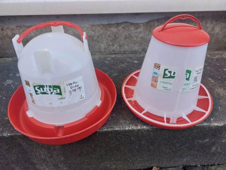 Bird Feeder & Drink Dispenser 