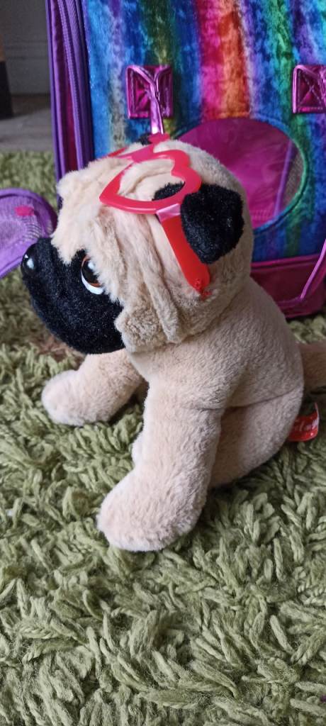 Pug Dog and Carry Bag