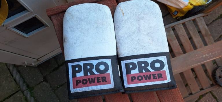 Pro Power Martial Arts Sparring Gloves