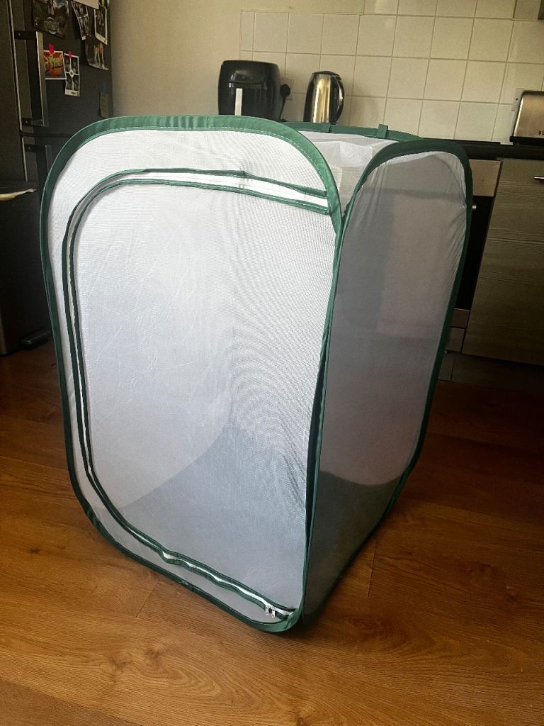 Large collapsable butterfly / moth net enclosure