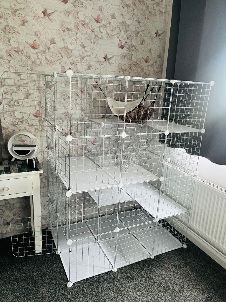 Catio new 