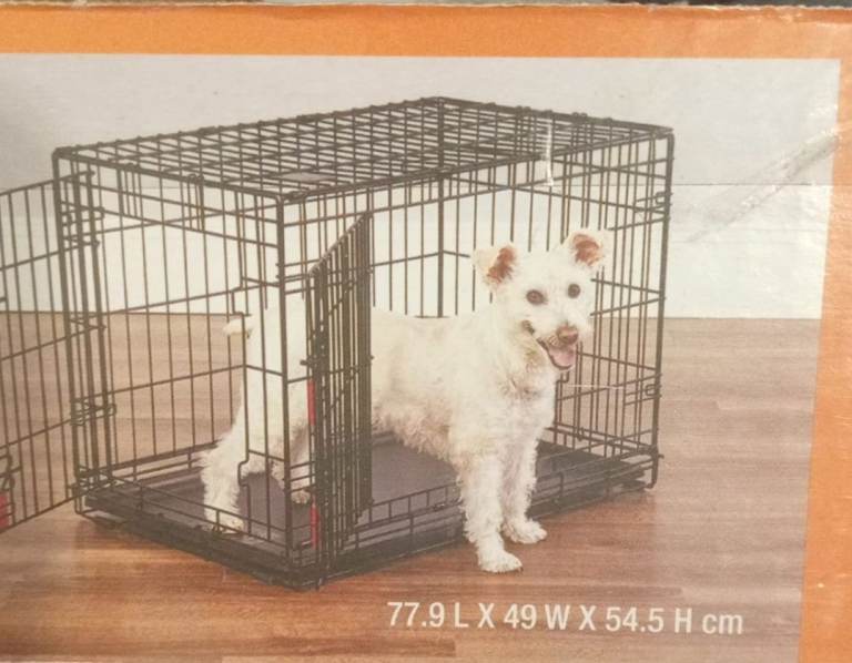 Medium Kong dog crate