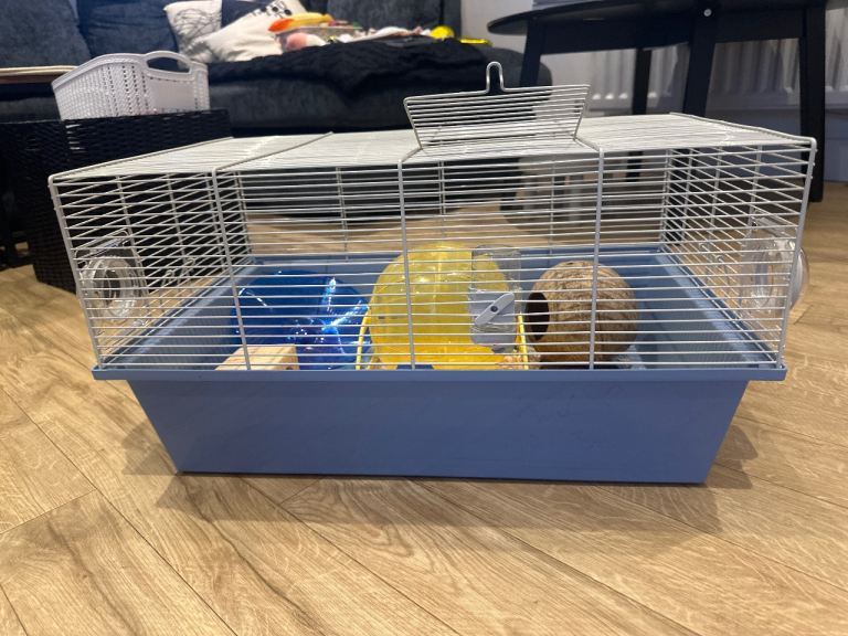 House for hamster 