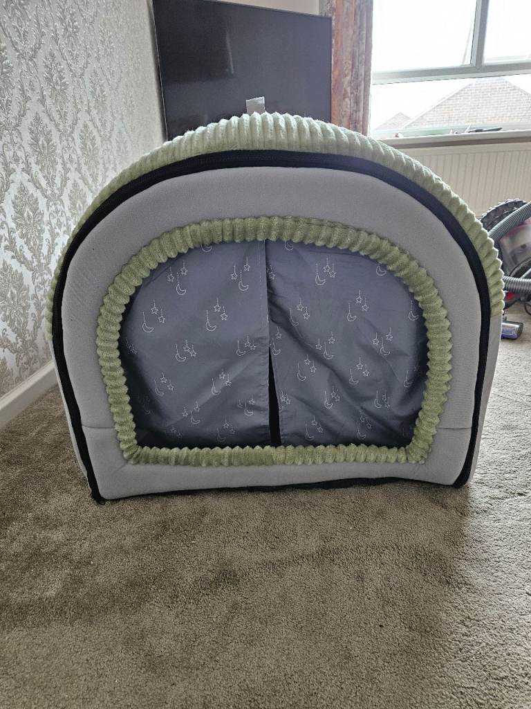Dog house 