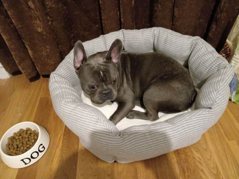 good home for our lovely millo