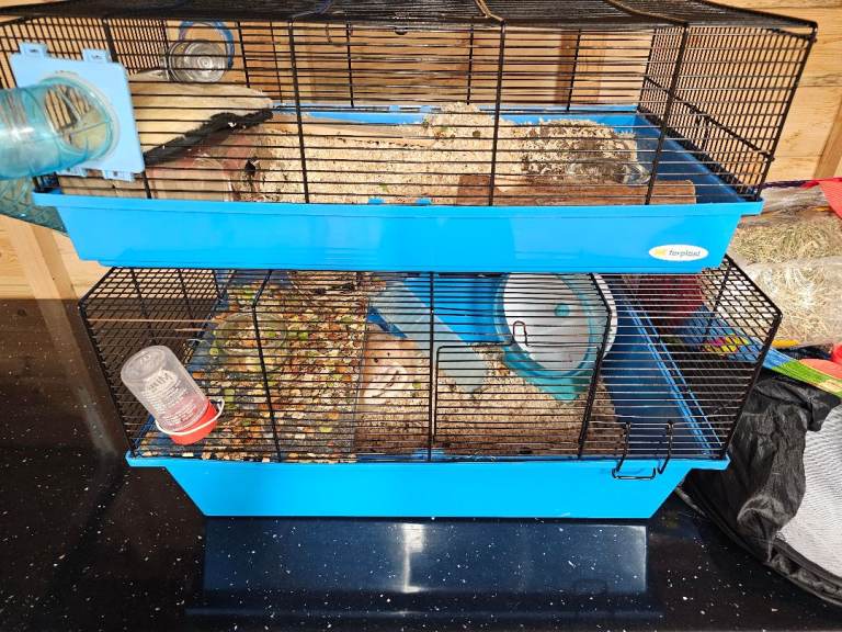 Hamster cage with extras