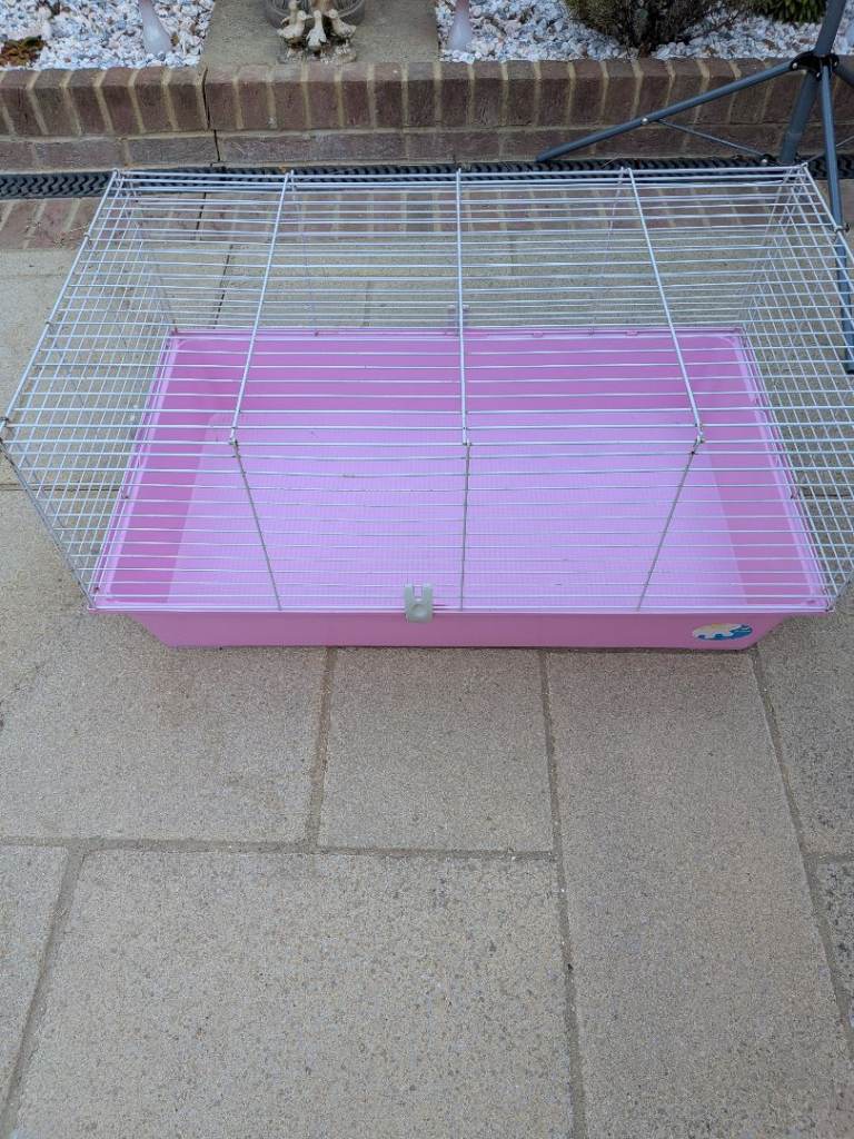 Guinea pig cage  free