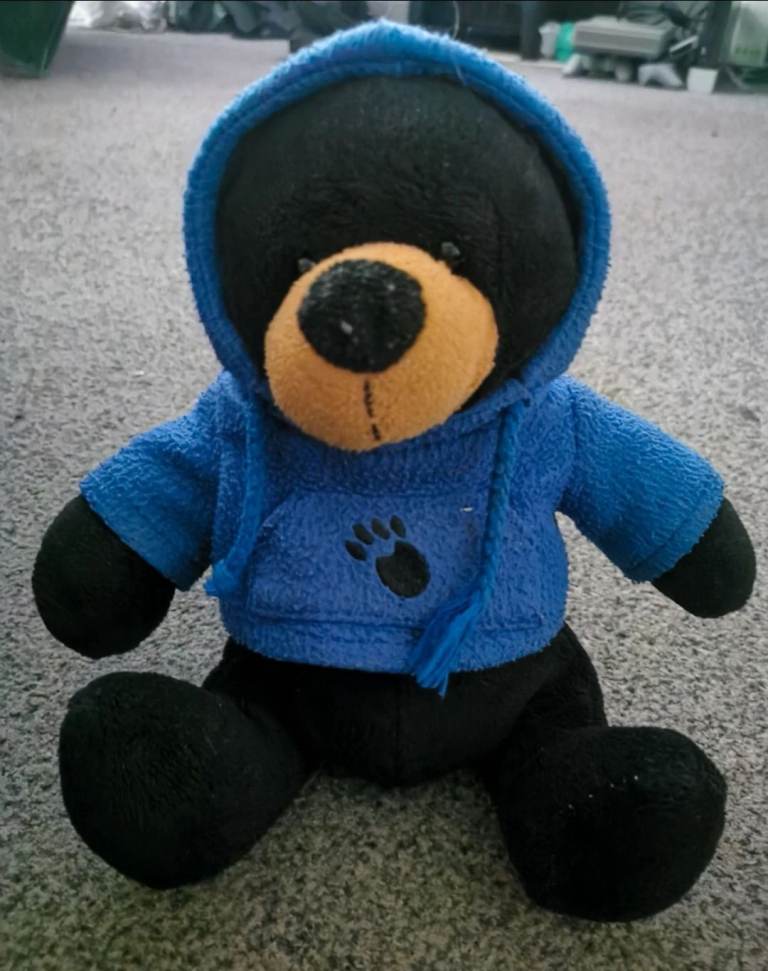 plush teddy bear Crafted by Sportswift