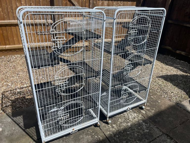 Rat cage