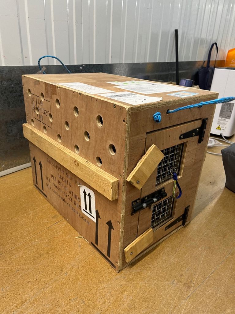 Wooden crate for small pet