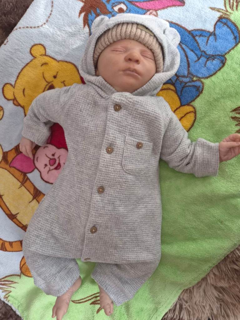 Lifelike Reborn Baby Doll – As Good As New