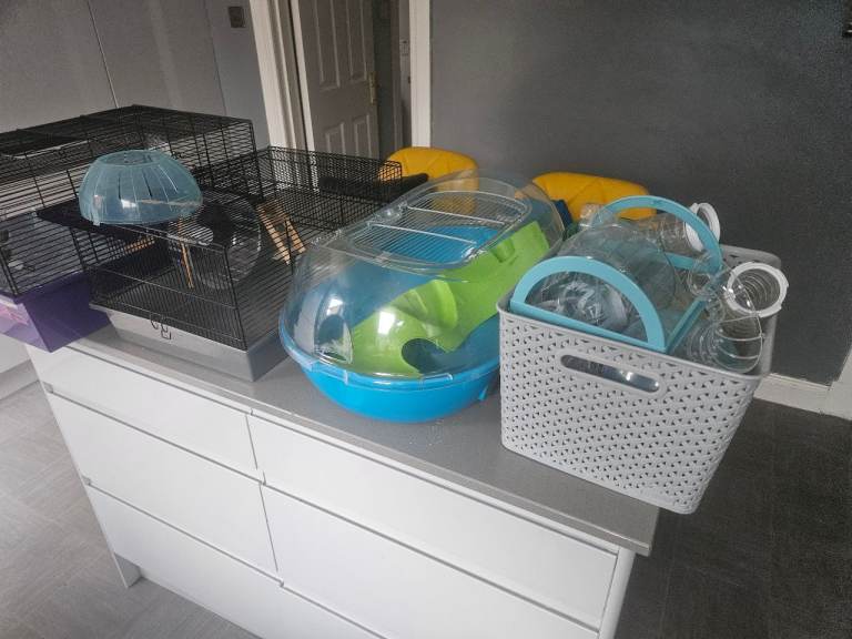 Hamster cages and accessories