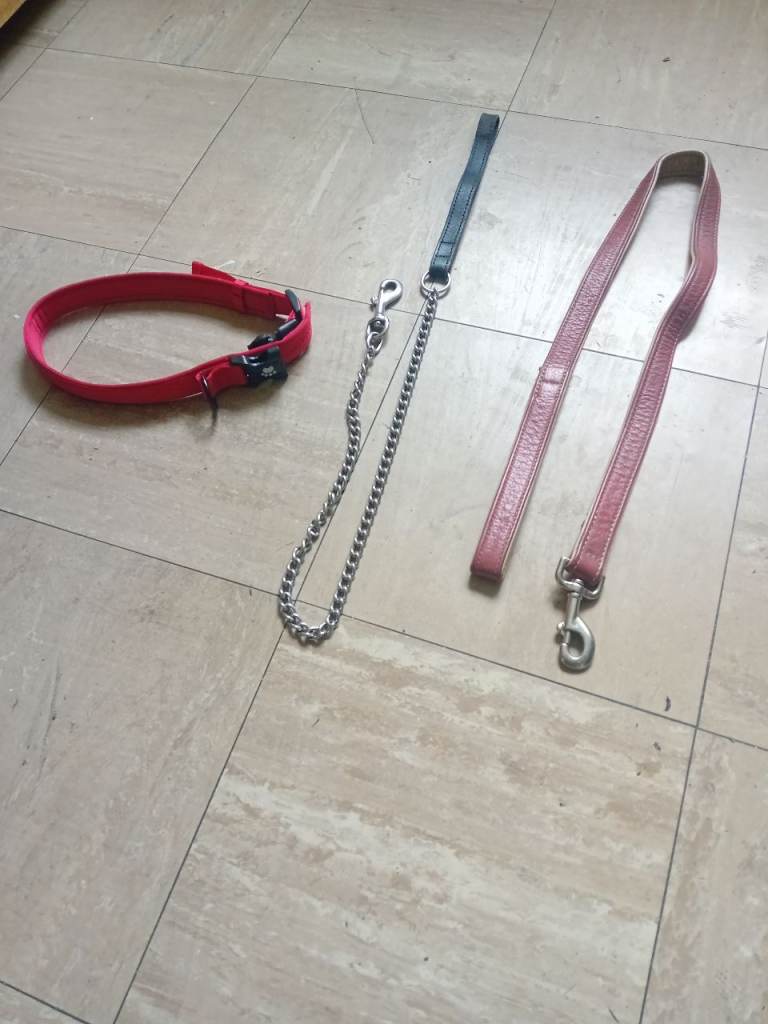 2 leads and medium collar