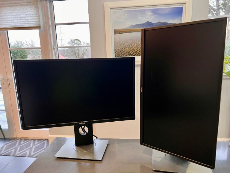 1x Dell 24″ Panel Monitor – Model P2417H 