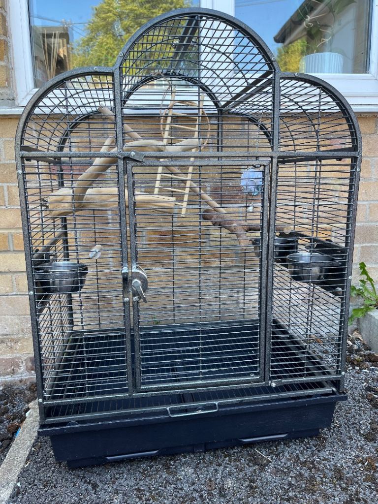 Bird cage 