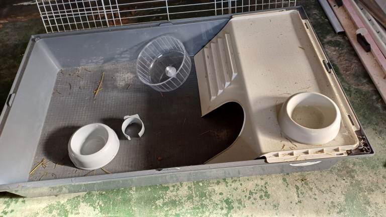 Guinea pig or small rabbit indoor cage