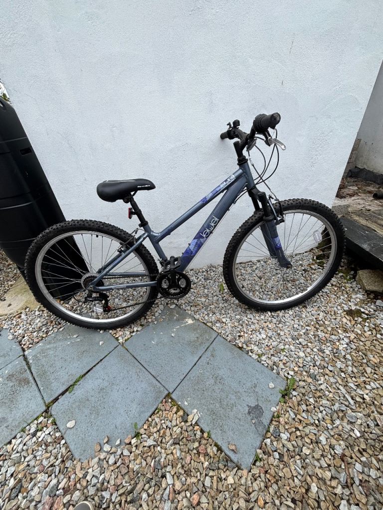 Male and female bikes 