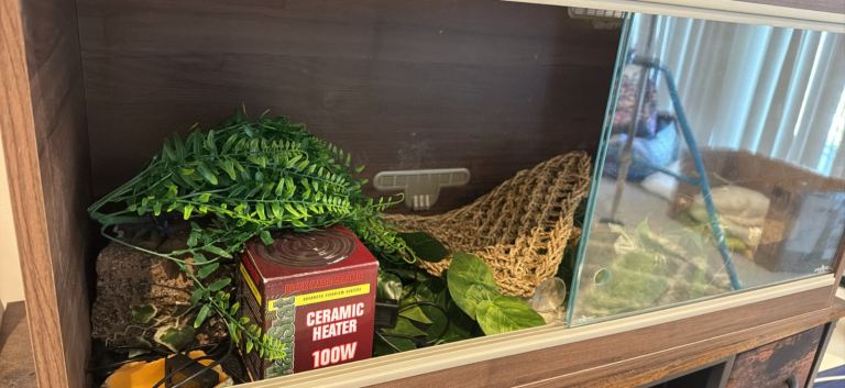 Vivarium for lizards with accessories 
