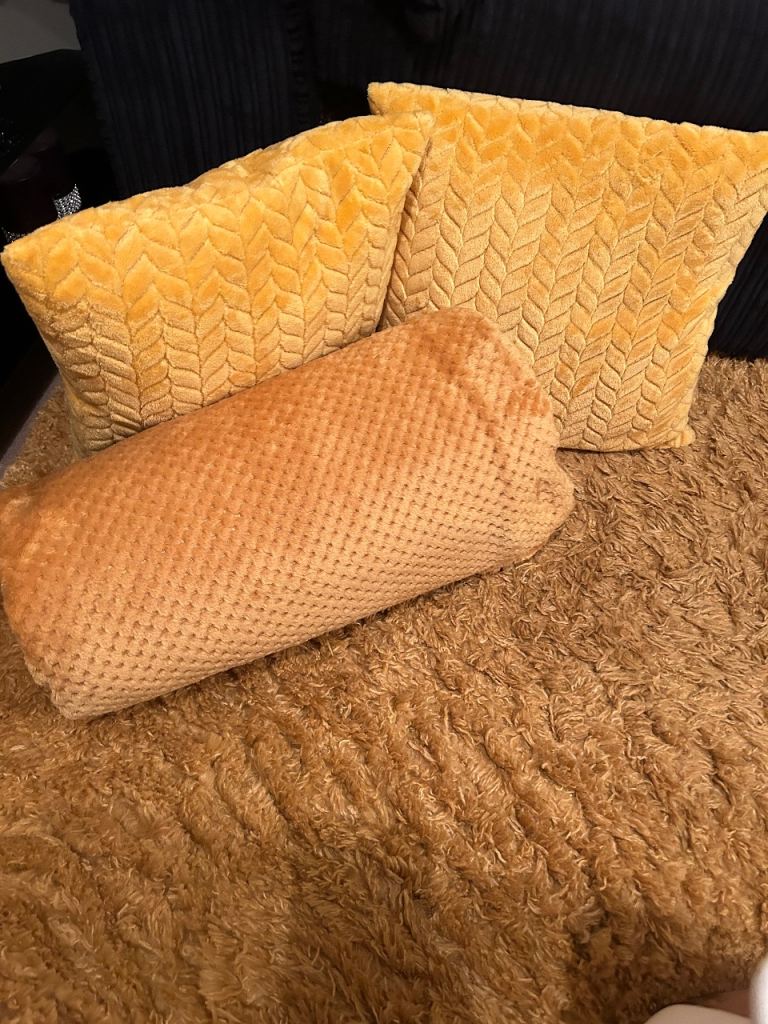 Large rug throw and 4 cushions 