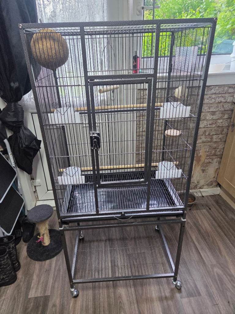 Large birdcage