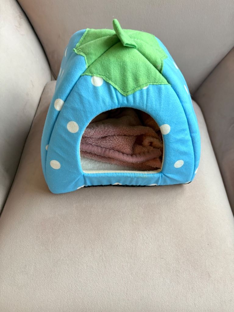 FREE 3 guinea pig/rabbit ECT beds