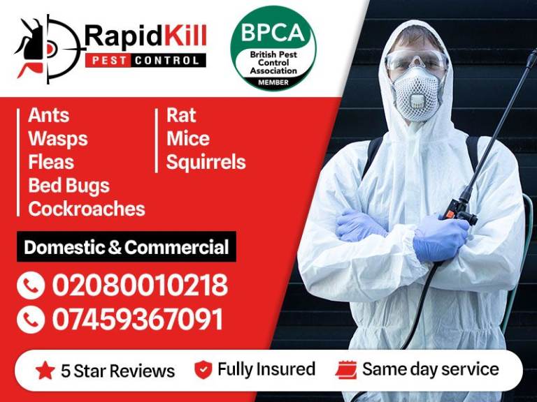 Pest control Mice Rat bedbugs wasps ants cockroaches mouse extermination pest removal 
