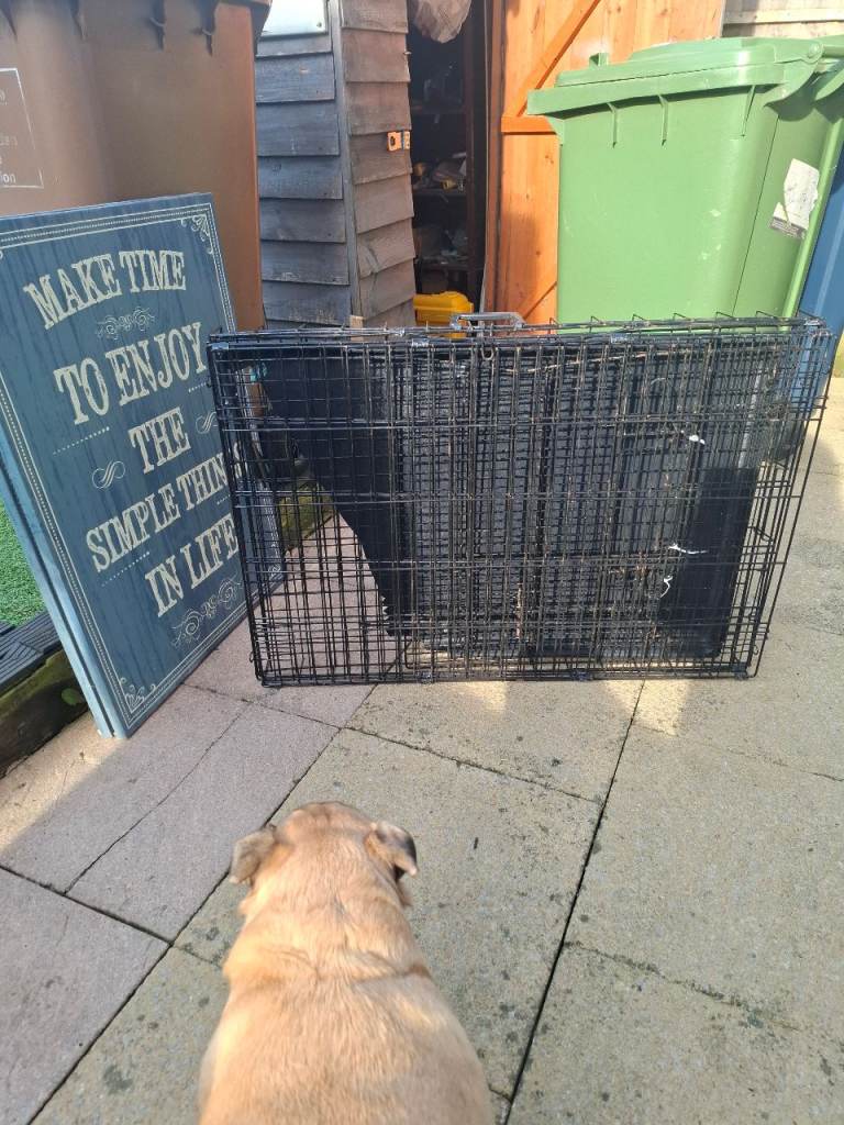 Dog crate free