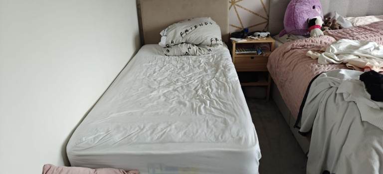 Free bed.  It gad a headboard and a pull out bed underneath 