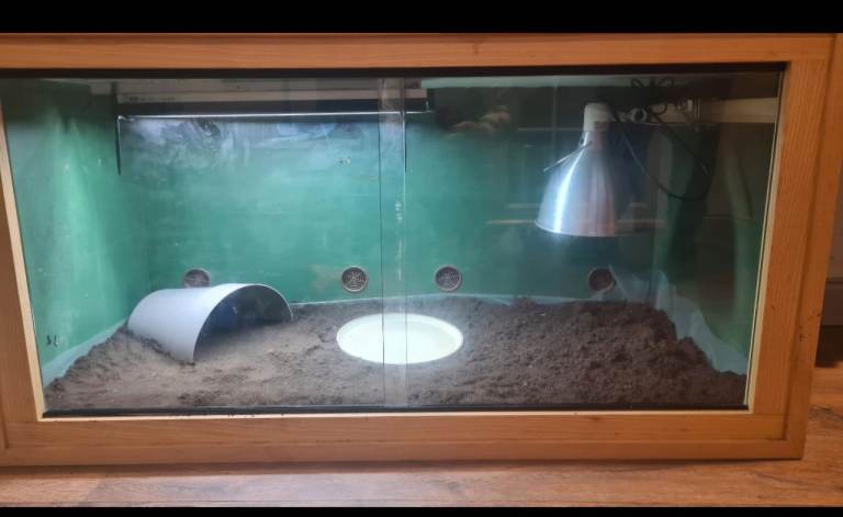 image for Vivarium 4x2