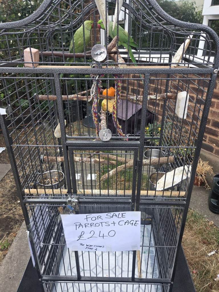 Large Black Parrot Cage with Accessories - Good Condition