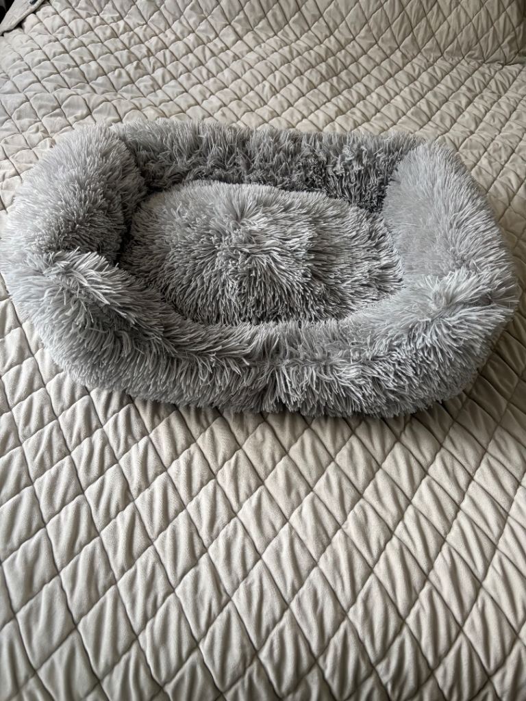 Dogs Bed